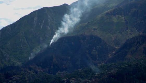 Indendio Forestal, foto vía El Espectador