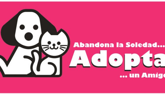 adopción