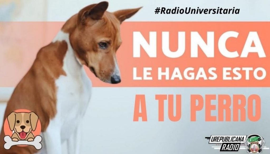 7_cosas_que_jamás_debes_hacerle_a_tu_perro_URepublicacanaRadio_emisora_radio_universitaria_estudiar_bogota_colombia