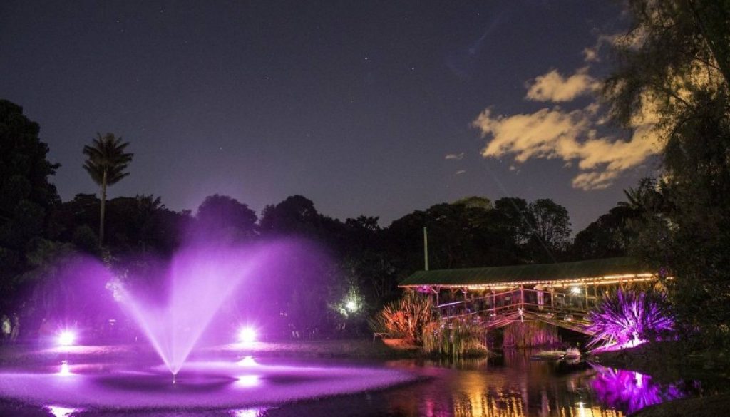 Jardín de Noche - Jardín Botánico de Noche, foto vía Pulzo - Radio Universitaria URepublicanaRadio