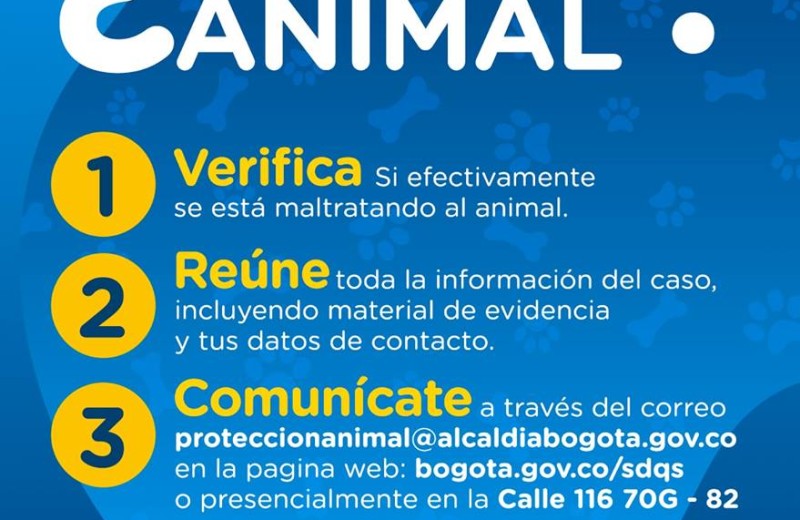 Cronograma mensual de esterilización y vacunación gratuita para perros y gatos en Bogotá