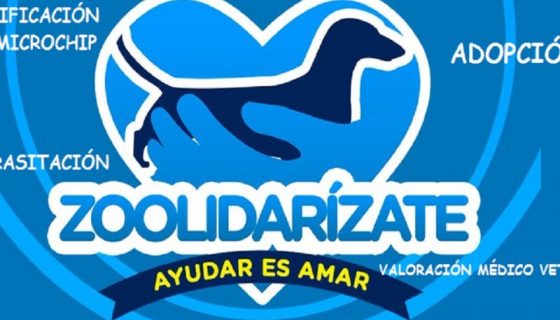 Educación Identificación con microchip Desparasitación Valoración medico veterinaria ADOPCIÓN ZOOLIDARÍZATE