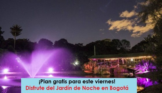 Jardín de noche Jardín-Botánico-de-Noche-foto-vía-Pulzo-Radio-Universitaria-URepublicanaRadio-800x520