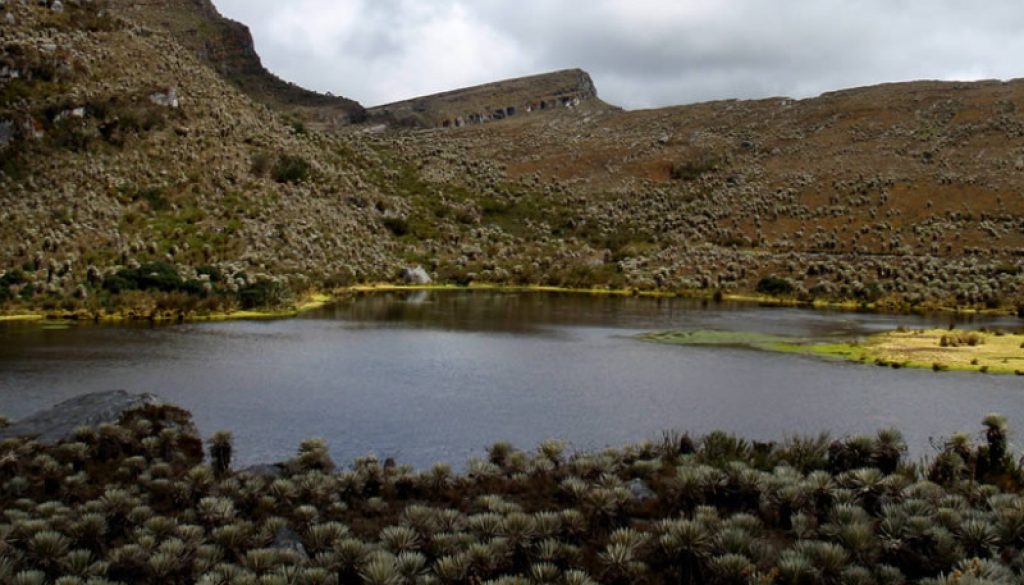 Parque Natural Sumapaz Los mejores lugares naturales para visitar en Bogotá foto vía Sandra Urrea - Parques Nacionales de Colombia