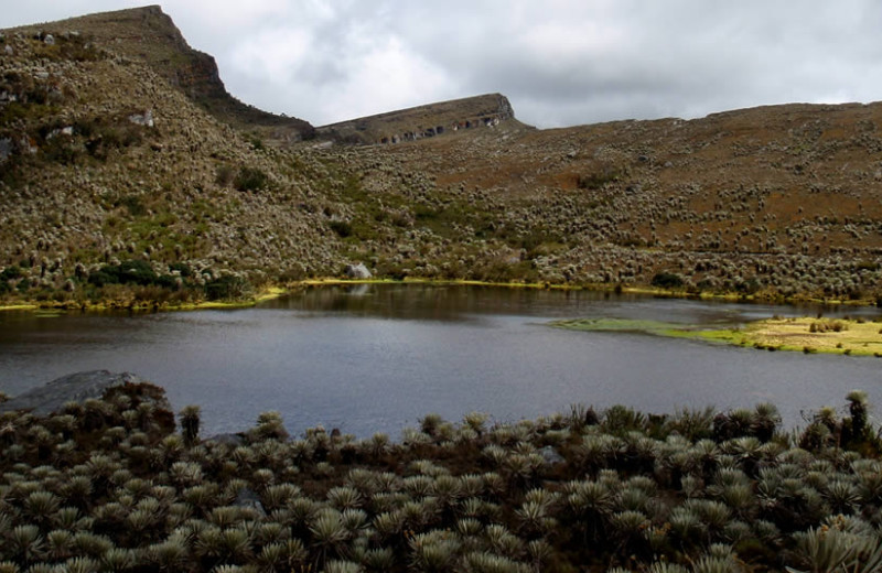 Parque Natural Sumapaz Los mejores lugares naturales para visitar en Bogotá foto vía Sandra Urrea - Parques Nacionales de Colombia