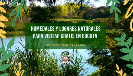 Humedales_y _lugares_naturales_para_visitar_gratis_en_Bogotá_URepublicacanaRadio_emisora_radio_universitaria_estudiar_bogota_colombia