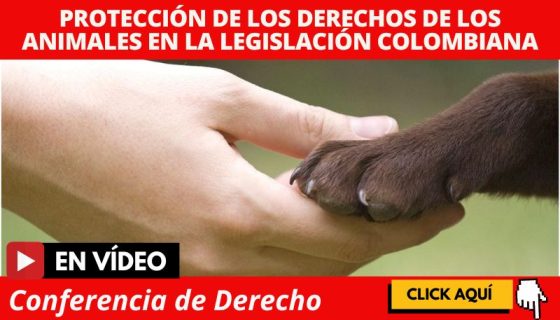 conferencia_proteccion_de_derechos_de_animales_en_legislación_colombiana_estudia_abogados_abogadas_la_republicana_universidad_republicana_urepublicana_bogota_colombia