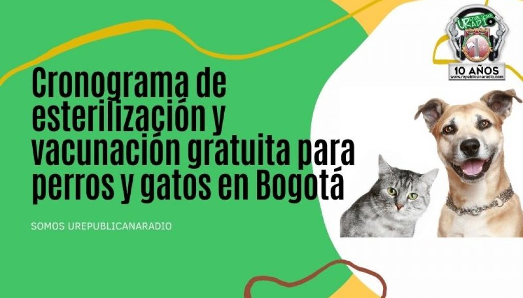 Cronograma_de_esterilización_y_vacunación_gratuita_para_perros_y_gatos_en_Bogotá_URepublicacanaRadio_emisora_radio_universitaria_estudiar_bogota_colombia_