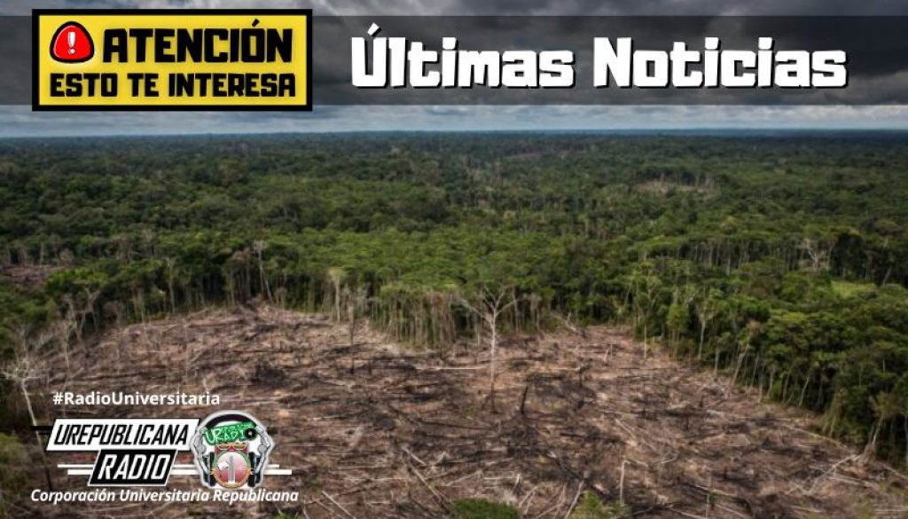 En_el_primer_trimestre_aumento_la_deforestacion_un_10_en_colombia_noticias_ureblicanaradio_emisora_radio_universitaria_bogota_colombia