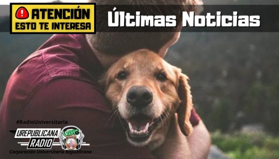 descubre_estas_apps_colombianas_que_te_ayudaran_a_cuidar_la_salud_de_tu_mascota_noticias_ureblicanaradio_emisora_radio_universitaria_bogota_colombia-1