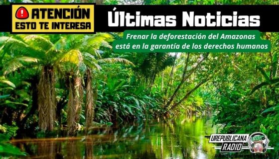 Frenar_la_deforestacion_del_Amazonas_esta_en_la_garantia_de_los_derechos_humanos