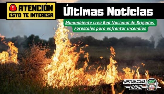 Minambiente_crea_Red_Nacional_de_Brigadas_Forestales_para_enfrentar_incendios