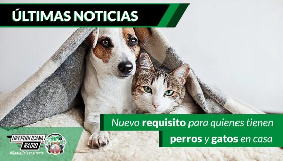 Nuevo_requisito_para_quienes_tienen_perros_y_gatos_en_casa
