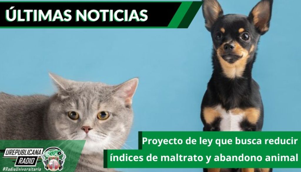 Proyecto_de_ley_que_busca_reducir_indices_de_maltrato_y_abandono_animal