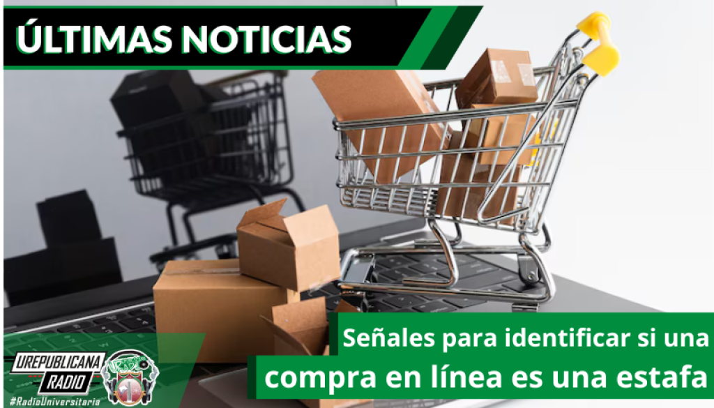 senales-para-identificar-si-una-compra-en-linea-es-una-estafa