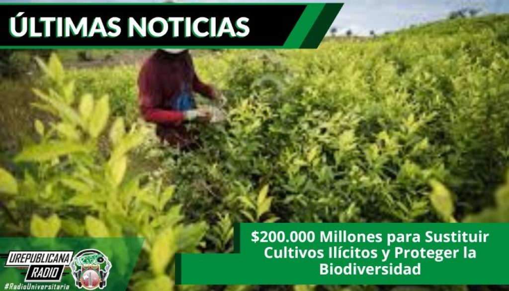 $200.000_Millones_Sustituir_Cultivos_Ilicitos_Proteger_Biodiversidad_ultimas_noticias_urepublicanaradio_emisora_universitaria_bogota_colombia